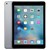 iPad Air 2 32 Go Wi-Fi Gris Sidéral MNV22NF/A