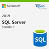Licence SQL Server Standard 2019 SNGL OLP NL