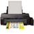 Epson Imprimante ITS L1300 Inkjet Printers,/Plain, A3+,4/con C11CD81401