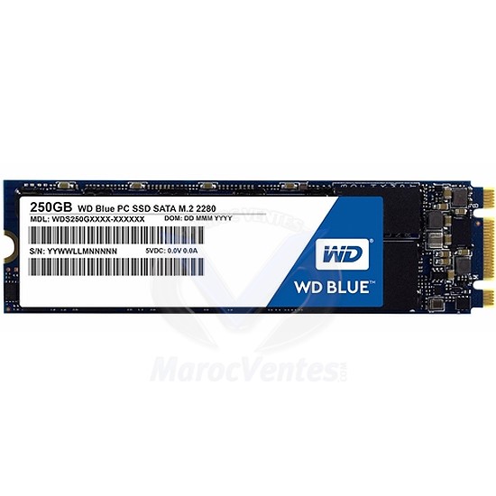 Western Digital - WD Blue SSD - Disque SSD interne 2.5 SATA 250Go 3D NAND