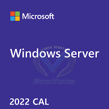 Windows Server 2022 Remote Desktop Services - 1 User CAL