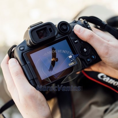 Appareil photo hybride Canon EOS R7 + objectif RF-S 18-150mm F3.5