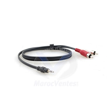 Câble Adaptateur : Mini–Jack 3.5mm (M) vers 2 x RCA (M)