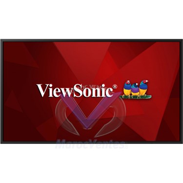 Écran Professionnel 55 pouces 4K LED