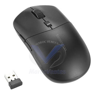 MY430 EQ Souris sans Fil Rechargeable