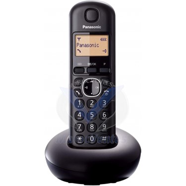 TÉLÉPHONE SANS FIL PANASONIC KX-TGB210