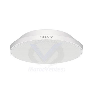 Microphone de Plafond