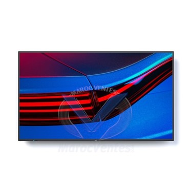 ECRAN PROFESSIONNEL NEC MultiSync LCD 43"