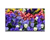 Moniteur LED 43" 4K UHD Professionnel  Fonctionnement 24h/24 et 7j/7 UV-MW3243-F-V2