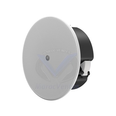 HAUT-PARLEUR PLAFONNIER Encastrables